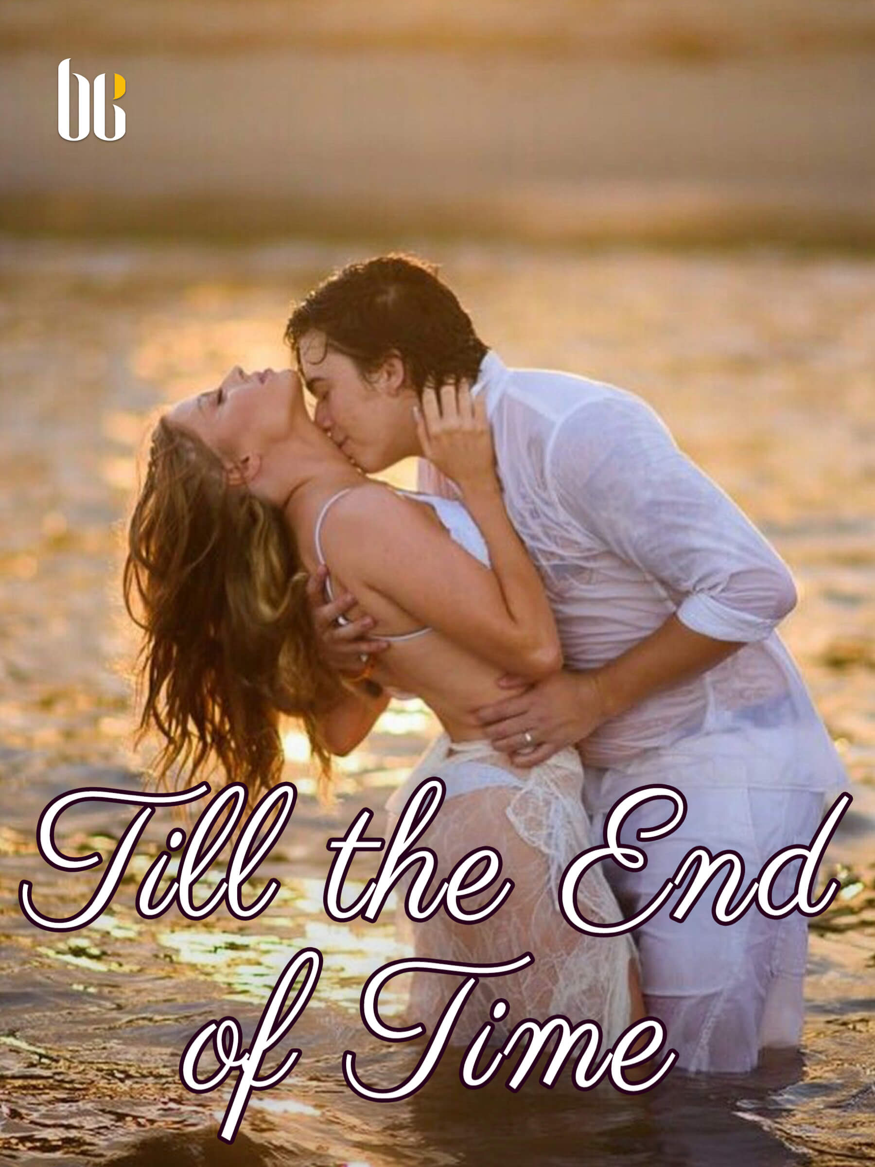 Till The End Of Time Novel Full Story Book BabelNovel